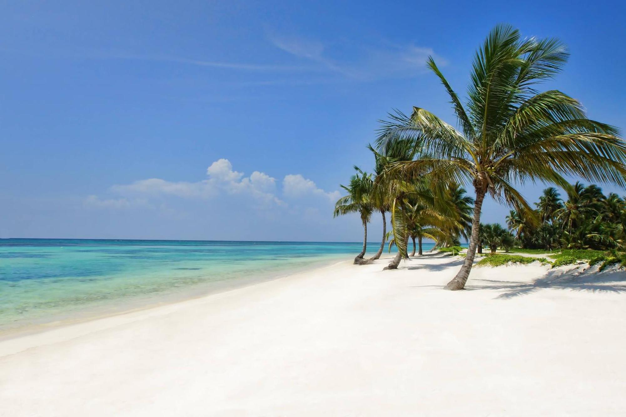 The Westin Puntacana Resort & Club Punta Cana Exterior foto